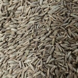 whole cumin seeds/ Jeera