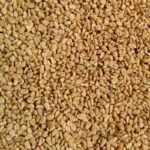 Whole Fenugreek seeds