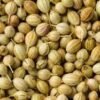 Whole coriander seeds/ Dhaniya seeds